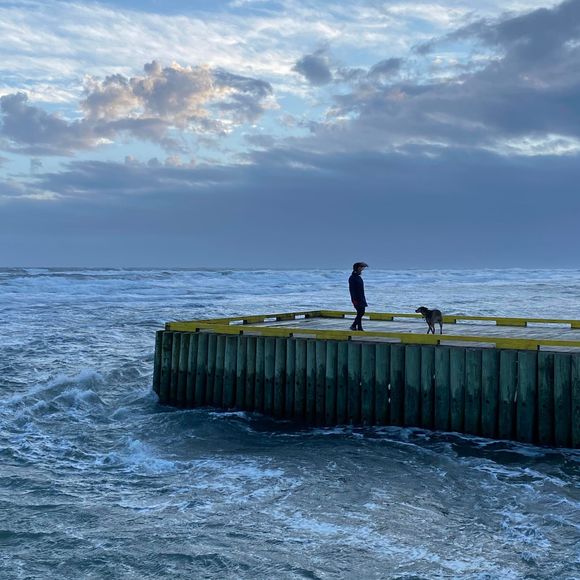 Meet your Posher, Andrea - Picture 1 of 1